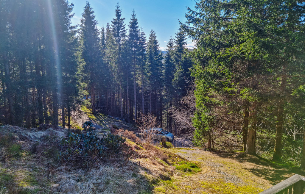 Feriehus - Lyngdal , Norge - N34561 10