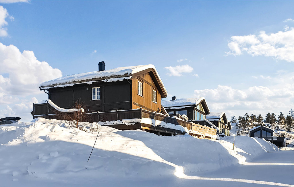 Feriehus - Bortelid/Åseral , Norge - N34696 10