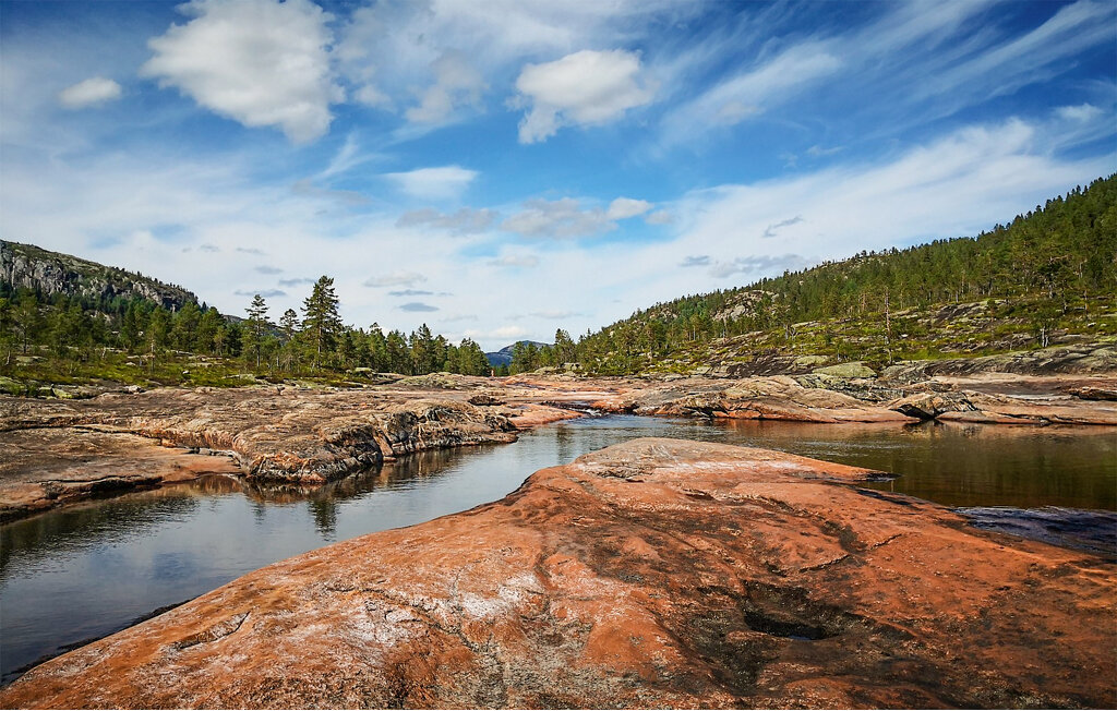 Feriehus - Bortelid/Åseral , Norge - N34696 8
