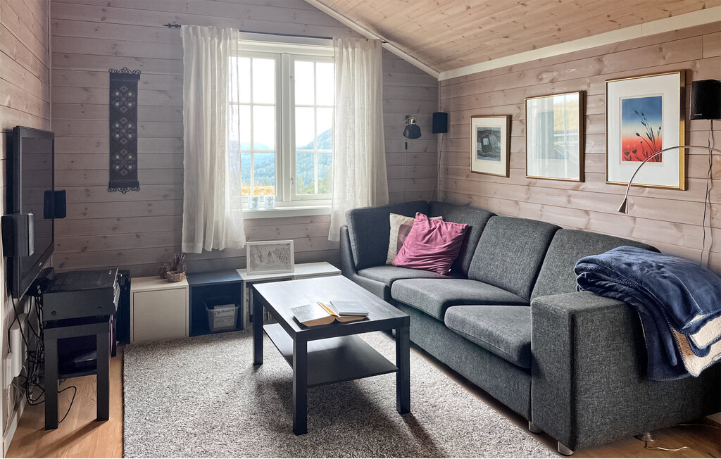 Feriehus - Bortelid/Åseral , Norge - N34696 3