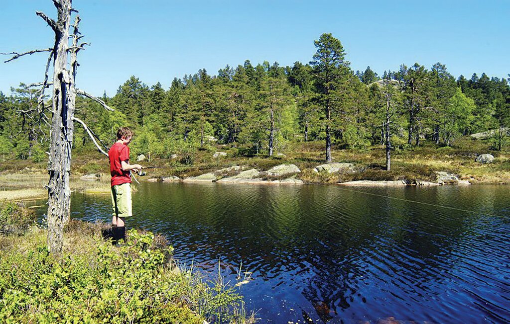 Ferienhaus - Tovdal/Hillestadheia , Norwegen - N34292 25