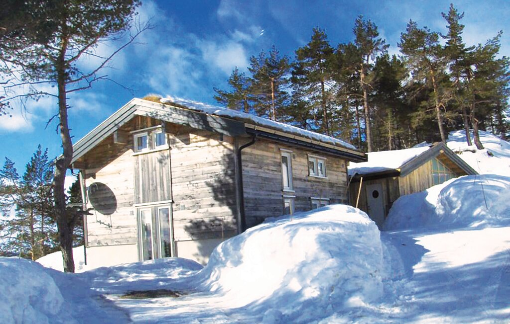 Ferienhaus - Tovdal/Hillestadheia , Norwegen - N34292 29