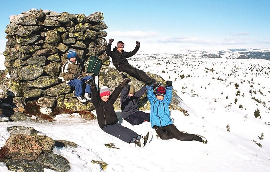 Ferienhaus - Tovdal/Hillestadheia , Norwegen - N34292 31