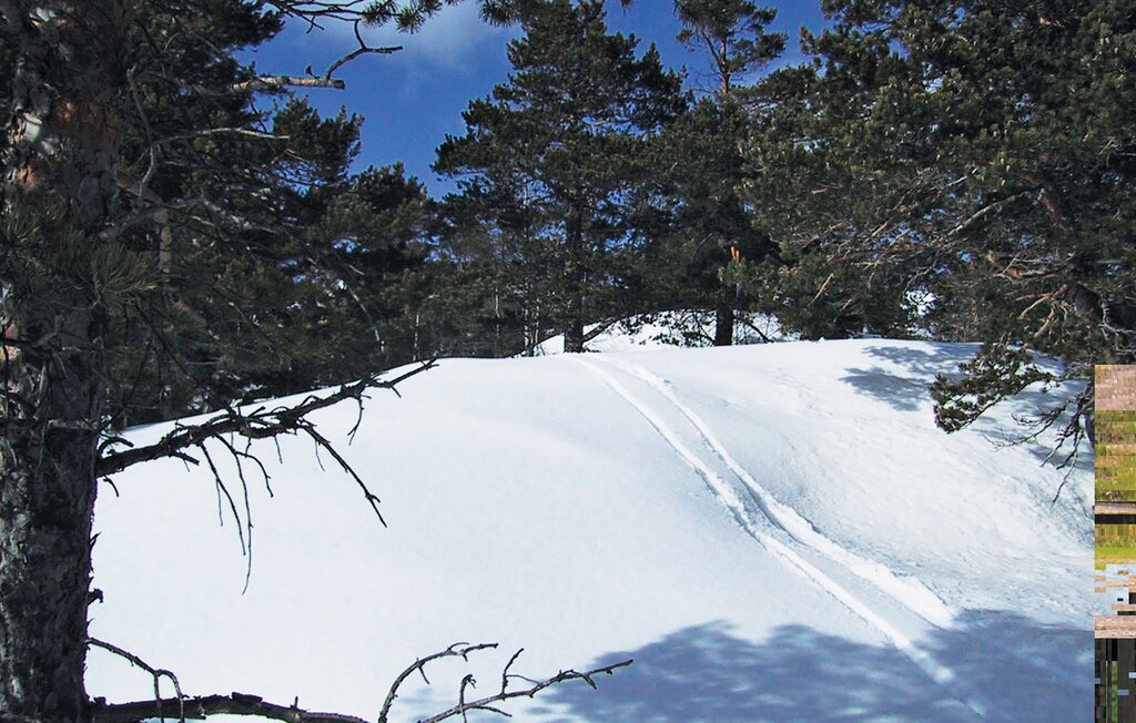 Feriehus - Tovdal/Hillestadheia , Norge - N34293 31