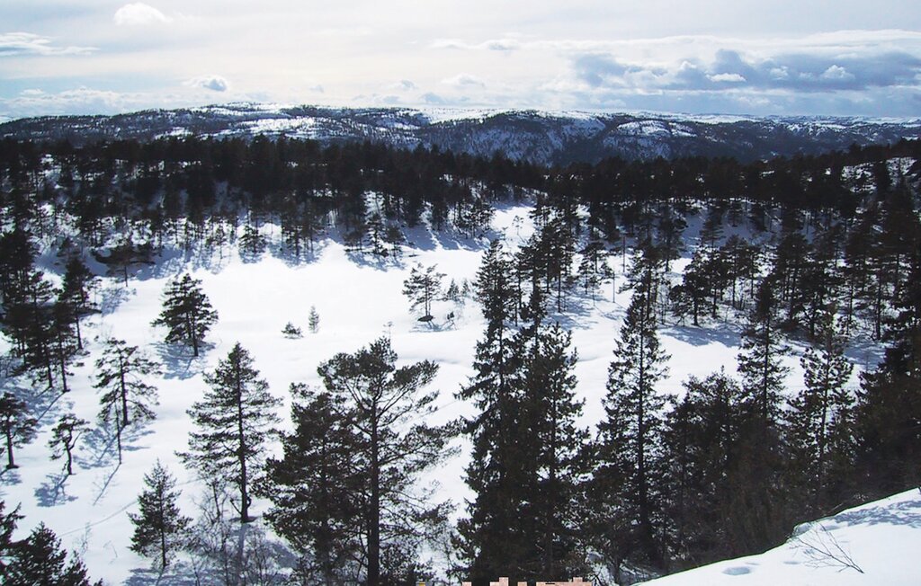 Feriehus - Tovdal/Hillestadheia , Norge - N34293 32