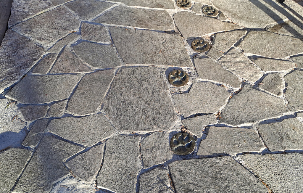 Semesterhus - Tovdalen/Hillestad , Norge - N34157 13