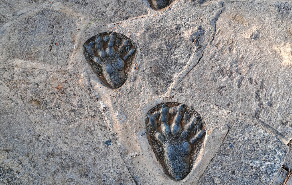 Feriehuse - Tovdalen/Hillestad , Norge - N34194 14