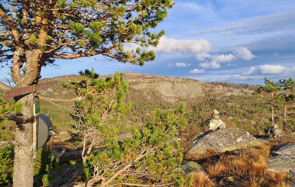 Ferienhaus - Tovdal/Hillestadheia , Norwegen - N34292 22