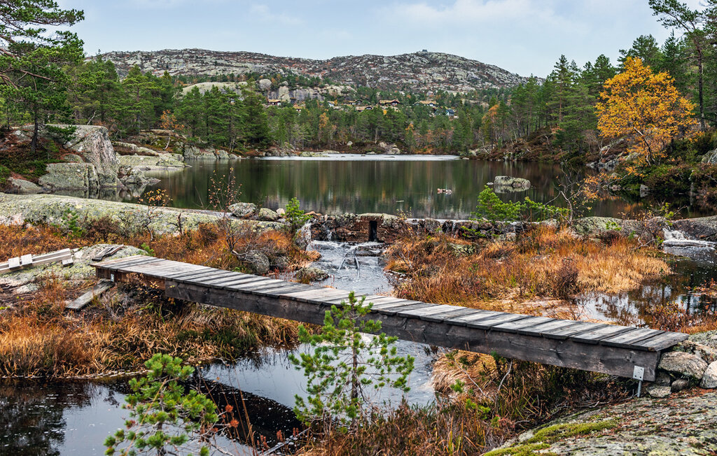 Ferienhaus - Tovdal/Hillestadheia , Norwegen - N34292 23