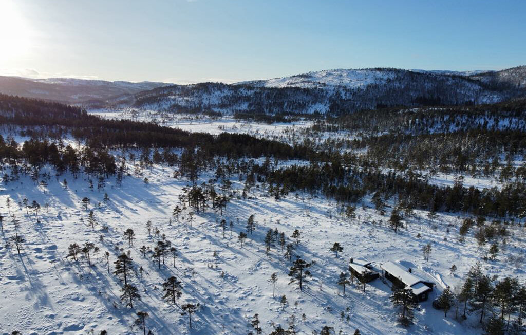 Feriehuse - Fossdal/Åseral , Norge - N34679 13