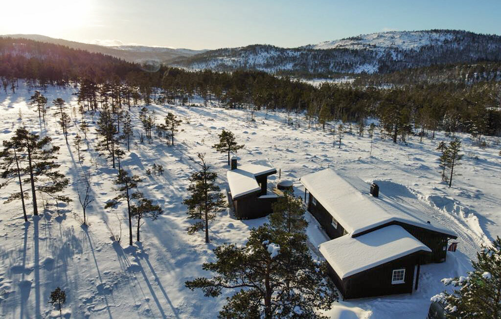 Feriehuse - Fossdal/Åseral , Norge - N34679 15