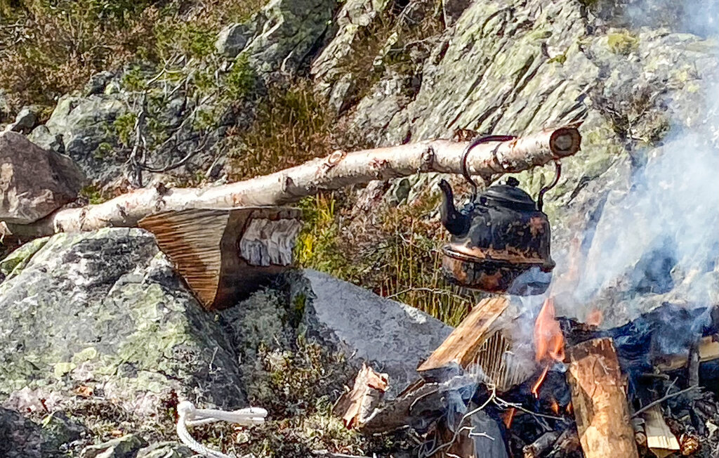 Ferienhaus - Hovden/Bykle , Norwegen - N34986 35