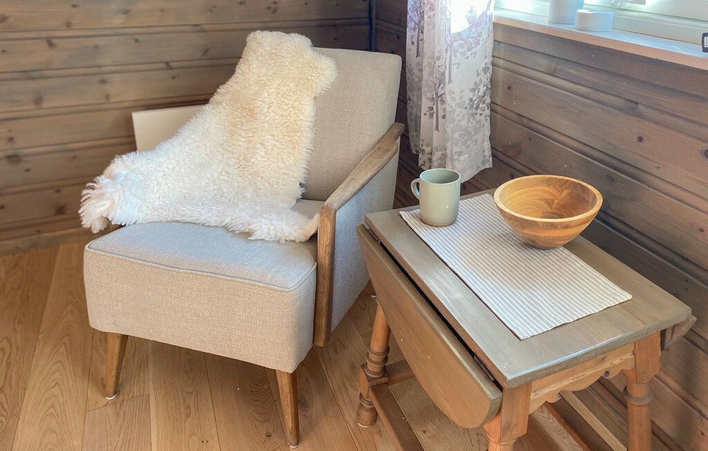 Ferienhaus - Hovden/Bykle , Norwegen - N34986 18