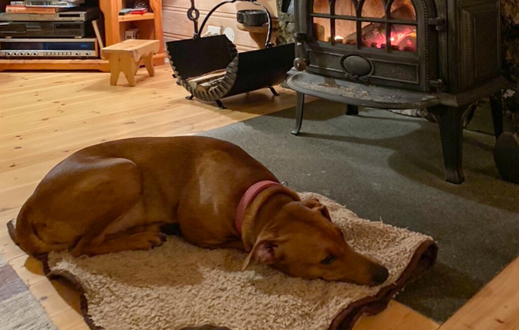 Ferienhaus - Hovden/Bykle , Norwegen - N34986 20