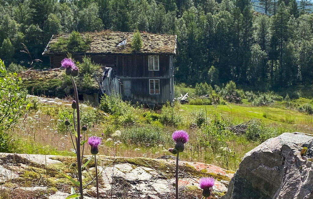 Ferienhaus - Hovden/Bykle , Norwegen - N34986 14