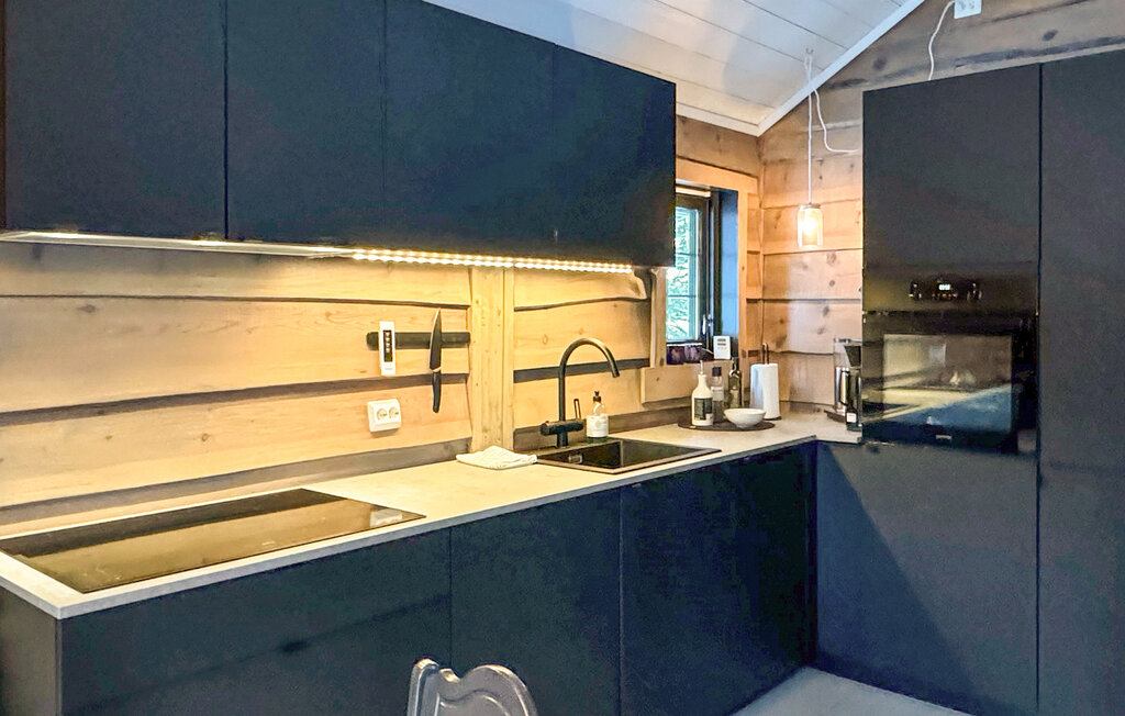 Feriehuse - Ljosland/Åseral , Norge - N34592 7