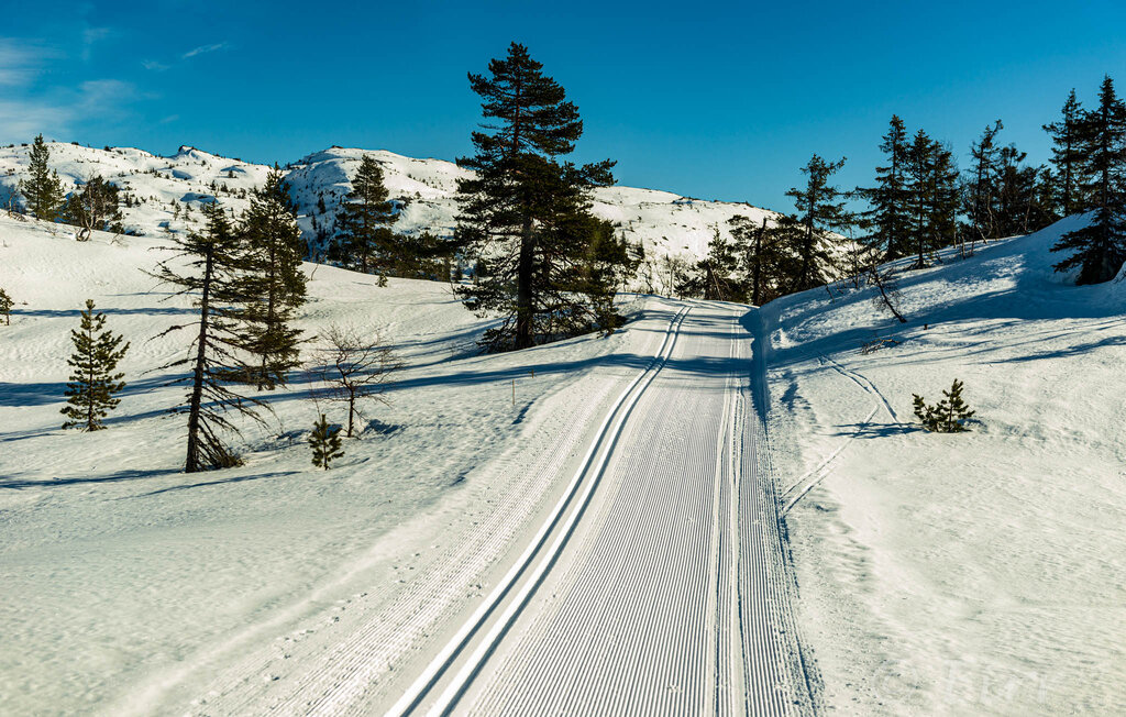 Ferienhaus - Tovdalen/Hillestad , Norwegen - N34191 20