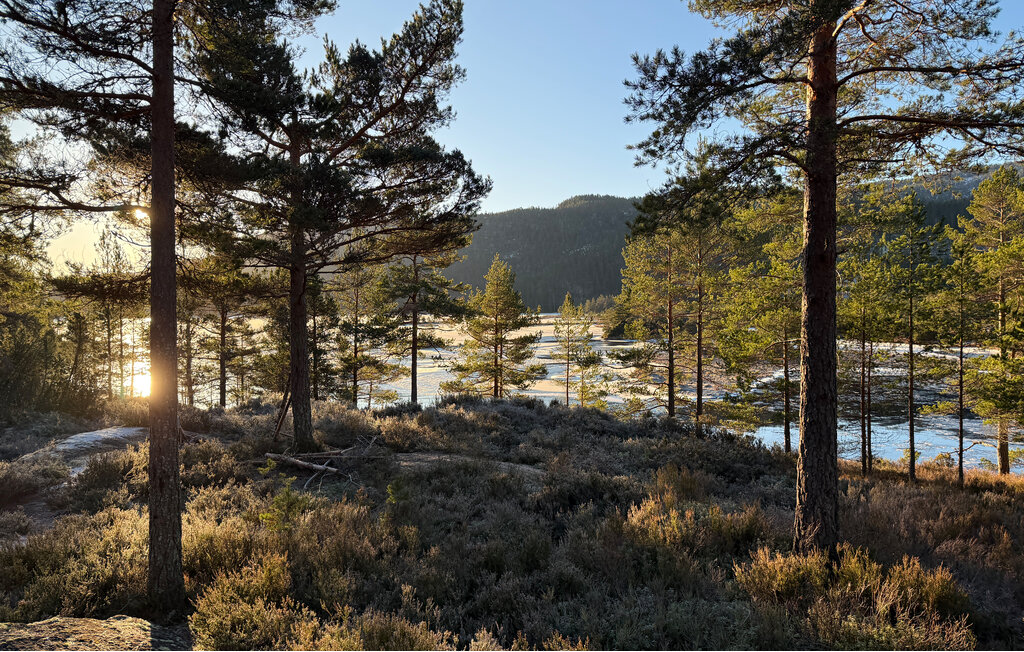 Ferienhaus - Tovdalen/Hillestad , Norwegen - N34191 18