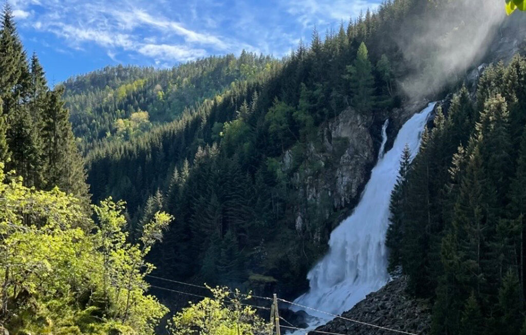 Ferienhaus - Hovden/Bykle , Norwegen - N34986 3