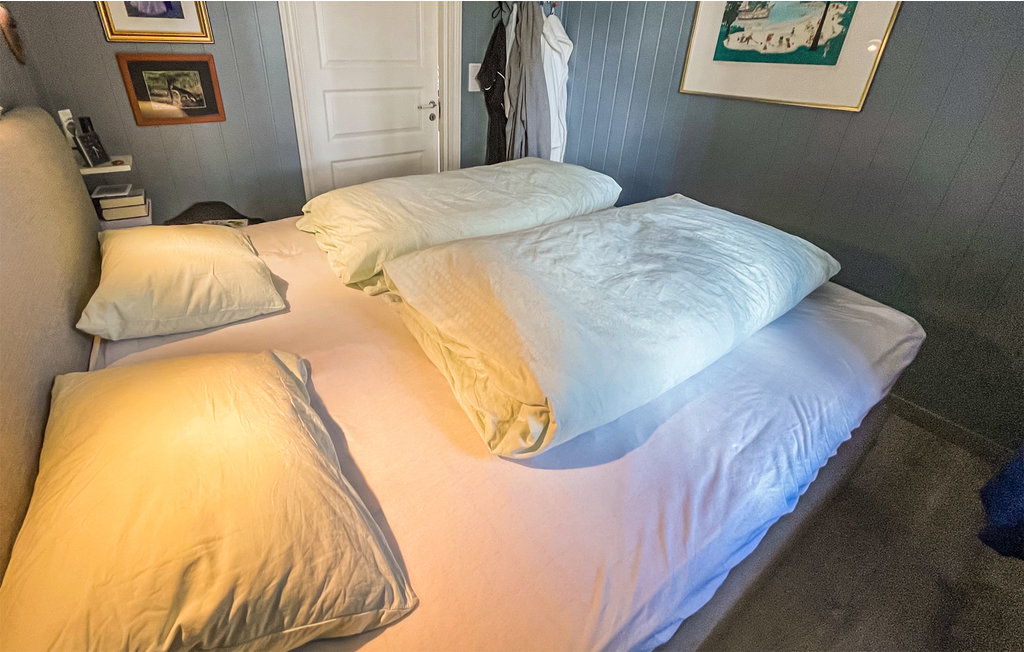 Ferienhaus - Nissedal , Norwegen - N35624 24