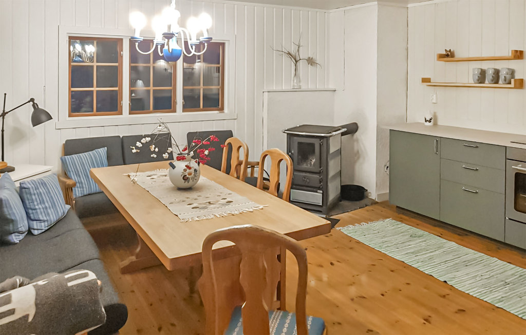 Ferienhaus - Telemark/Fyresdal , Norwegen - N35623 3