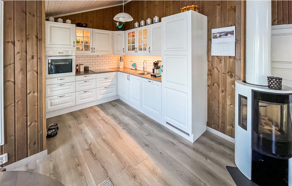 Ferienhaus - Nissedal , Norwegen - N35624 6