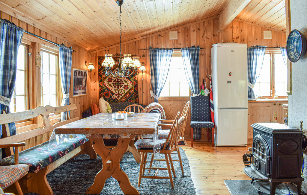 Ferienhaus - Rauland , Norwegen - N35567 2