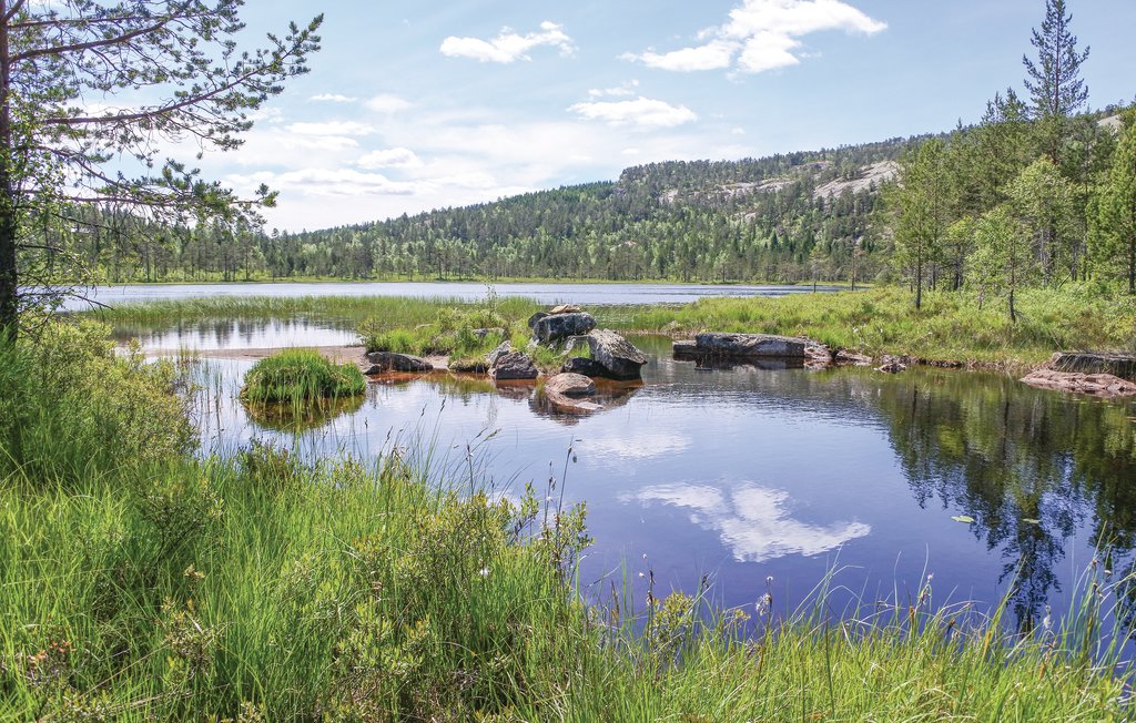 Semesterhus - Felle/Havrefjell/Treungen , Norge - N35420 2