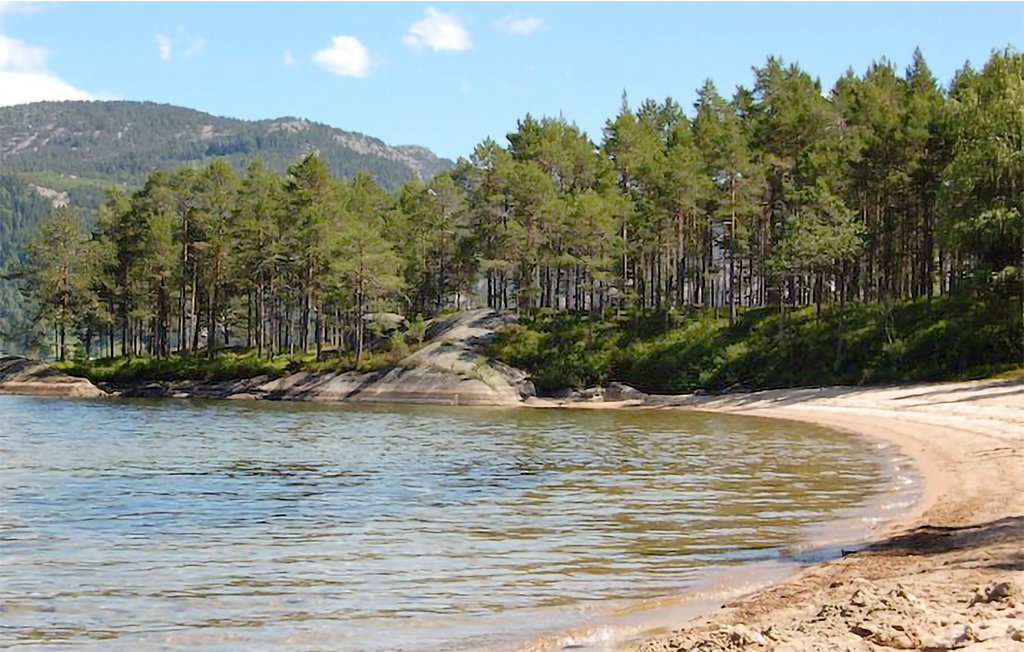 Feriehuse - Nissedal/Kyrkjebygdeheia , Norge - N35517 9