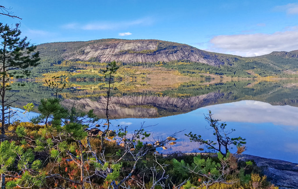 Ferienhaus - Telemark/Fyresdal , Norwegen - N35623 8