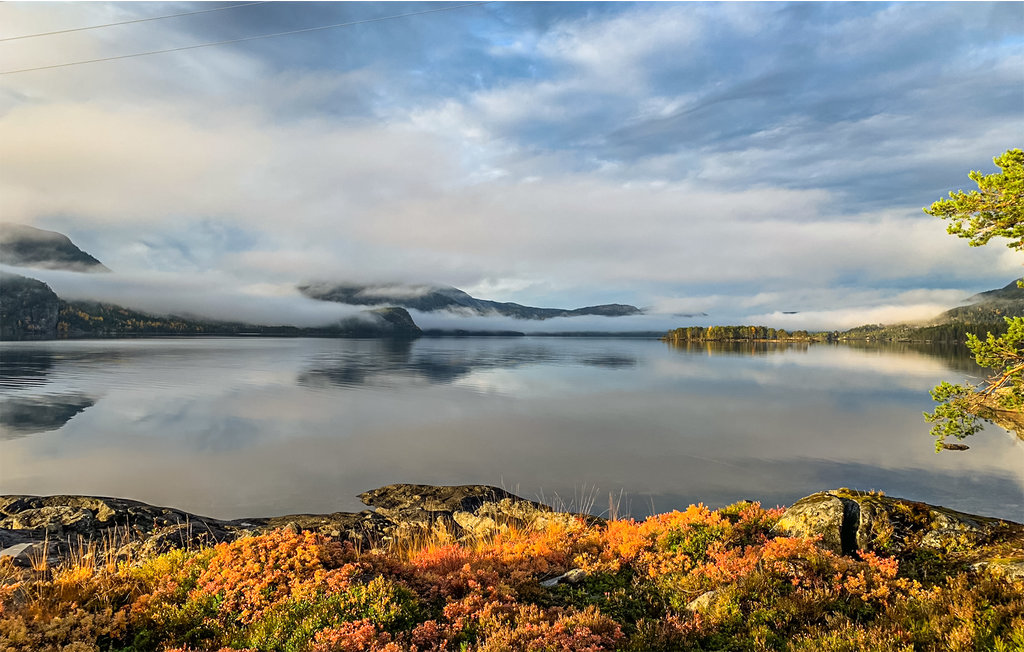 Ferienhaus - Nissedal , Norwegen - N35624 29