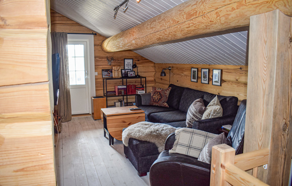 Ferienhaus - Rauland , Norwegen - N35578 7