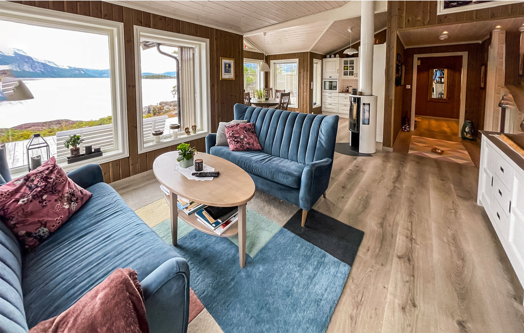 Ferienhaus - Nissedal , Norwegen - N35624 3