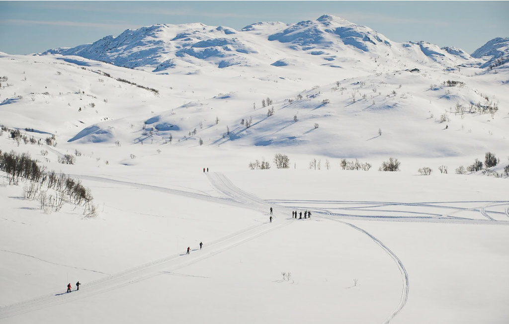 Feriehuse - Holtardalen/Rauland , Norge - N35468 22