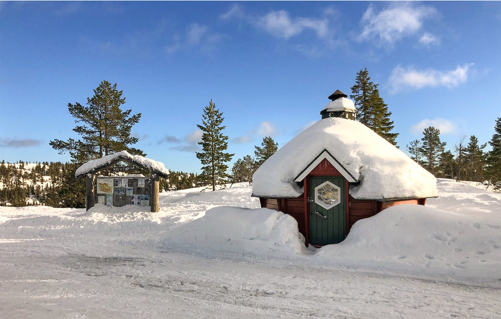 Feriehuse - Nissedal/Kyrkjebygdeheia , Norge - N35517 33