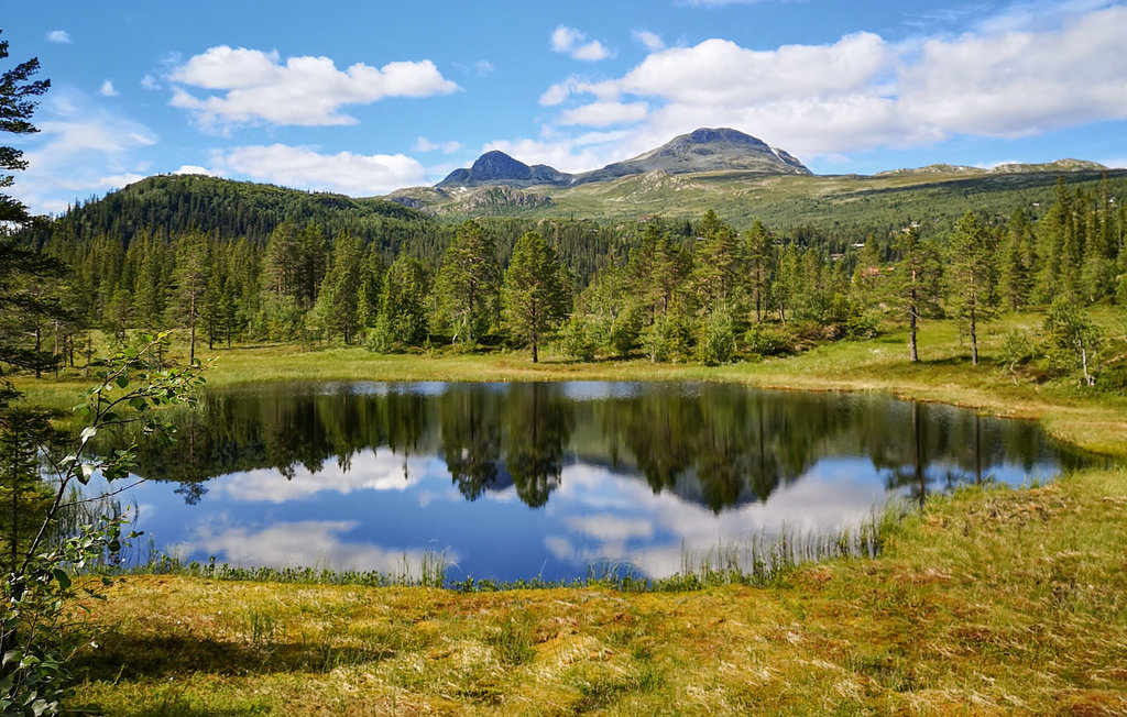 Feriehus - Tuddal , Norge - N35539 37