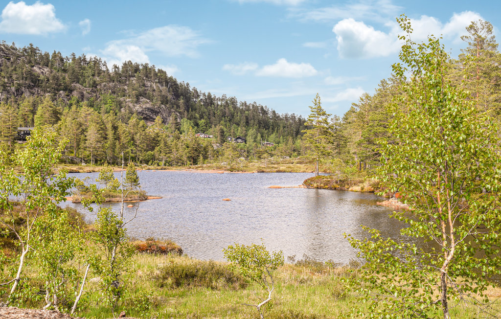 Feriehuse - Gautefall , Norge - N35509 24