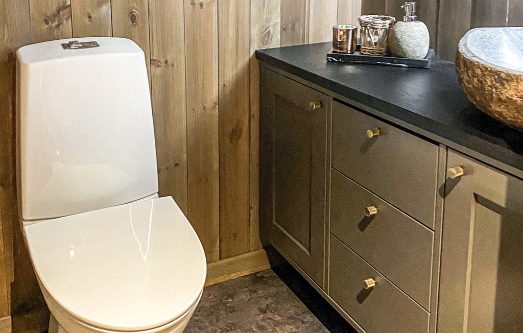 Feriehuse - Holtardalen/Rauland , Norge - N35457 32