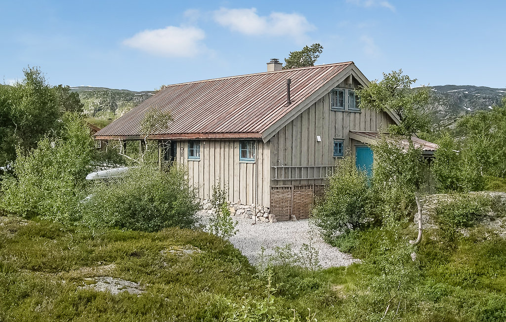 Ferienhaus - Haukelifjell/Vågslid , Norwegen - N35161 6
