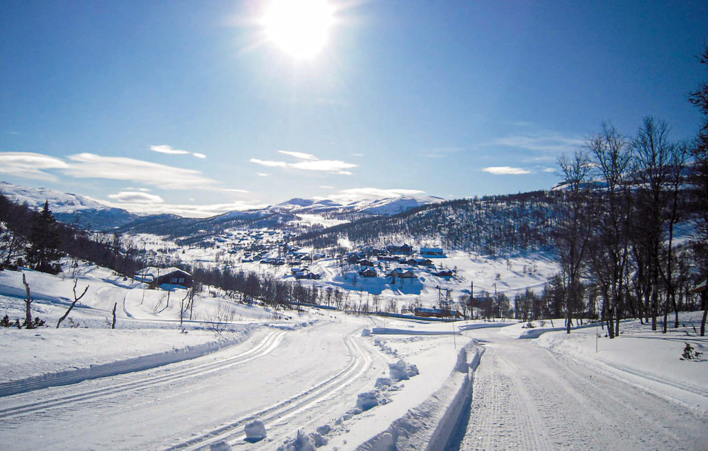 Ferienhaus - Rauland , Norwegen - N35190 14