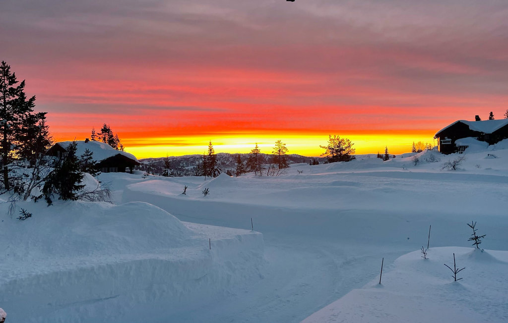 Feriehuse - Nissedal/Kyrkjebygdeheia , Norge - N35517 36