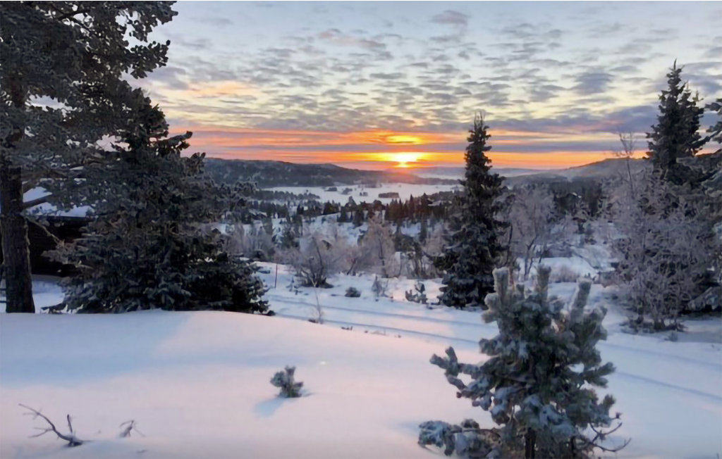 Feriehuse - Nissedal/Kyrkjebygdeheia , Norge - N35517 19