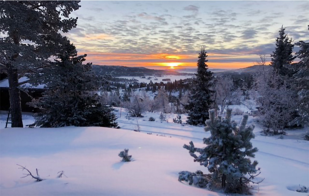 Feriehuse - Nissedal/Kyrkjebygdeheia , Norge - N35517 20