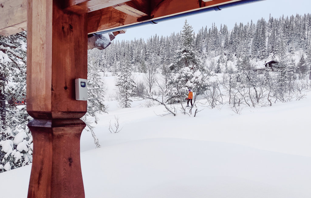 Feriehus - Tuddal , Norge - N35539 15