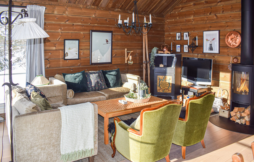 Feriehus - Nissedal/Kyrkjebygdeheia , Norge - N35526 4