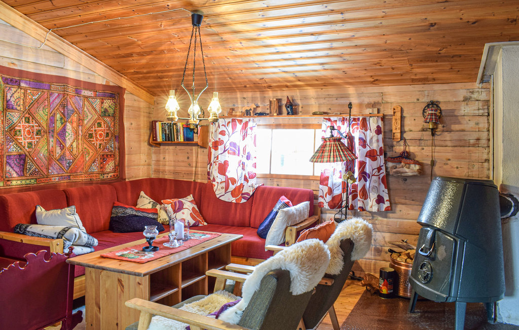 Ferienhaus - Rauland , Norwegen - N35567 3