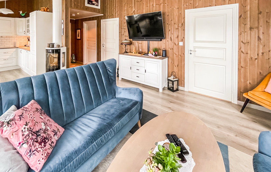 Ferienhaus - Nissedal , Norwegen - N35624 5