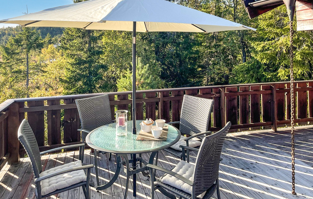 Feriehuse - Nissedal/Kyrkjebygdeheia , Norge - N35517 3