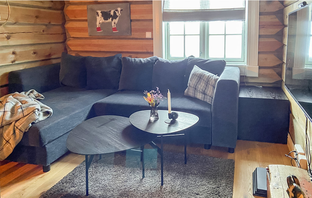 Feriehuse - Holtardalen/Rauland , Norge - N35506 11