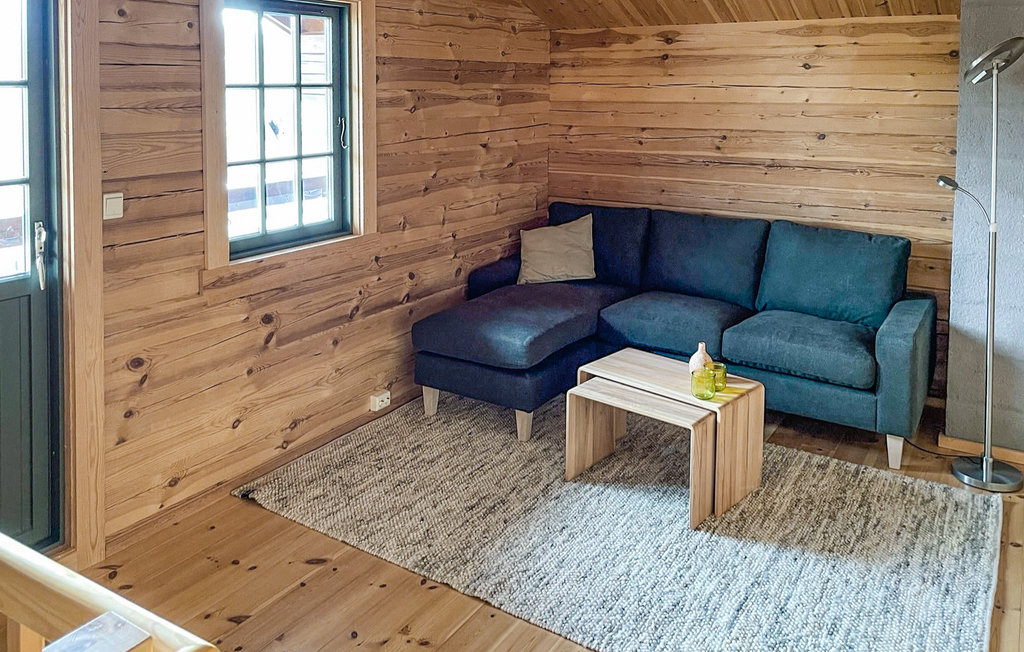 Feriehuse - Nissedal/Kyrkjebygdeheia , Norge - N35517 7